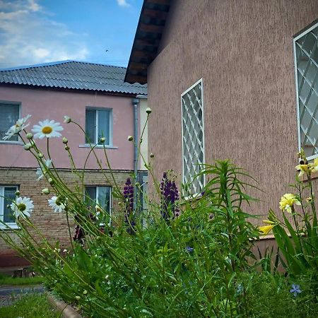 Guest House Oleksandriia エクステリア 写真