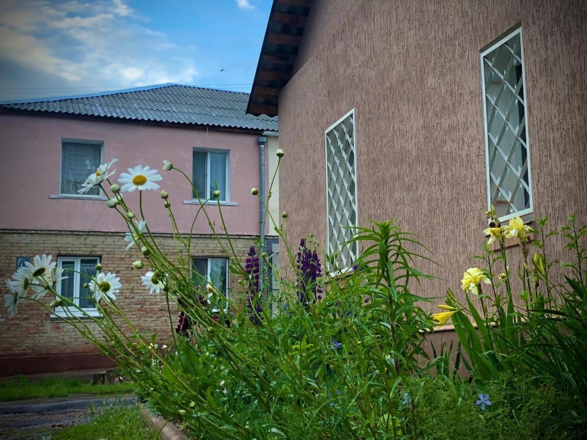 Guest House Oleksandriia エクステリア 写真