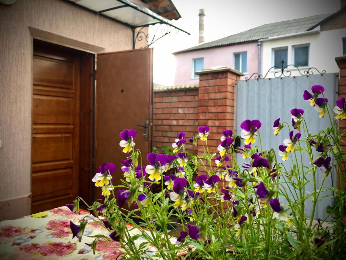 Guest House Oleksandriia エクステリア 写真